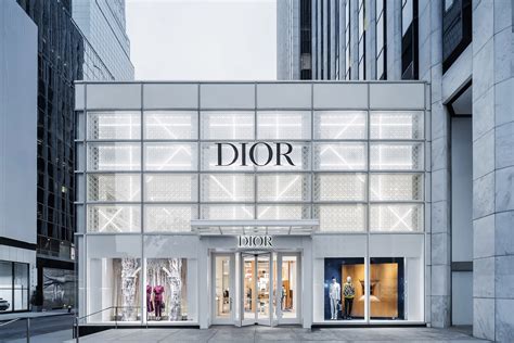 store to dior|Dior online store.